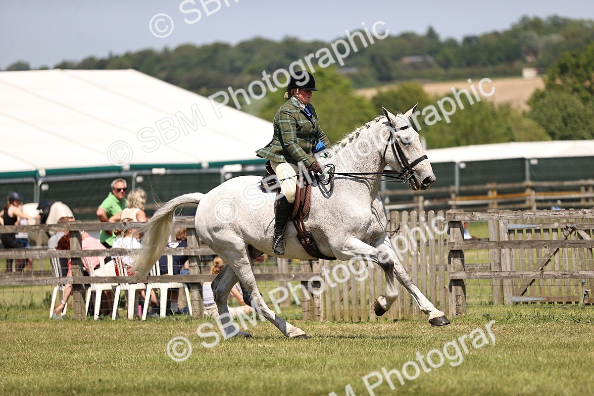 SBM_16154 - Class 79-80 - LIHS BSHA Rising Star Ridden Hunter
