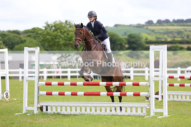 3E7A7570 - Class 13: Senior British Novice/90cm open