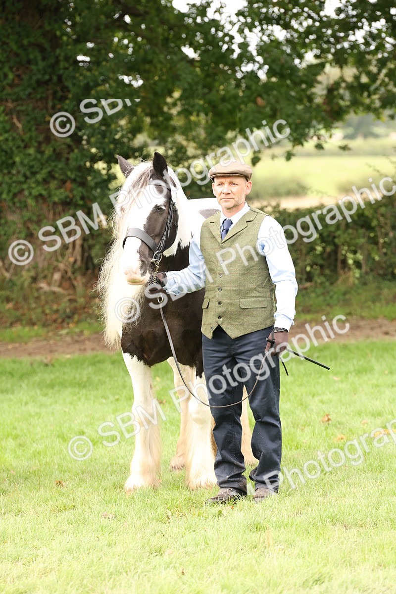 SBM_59317 - S57 - Traditional Cob In Hand