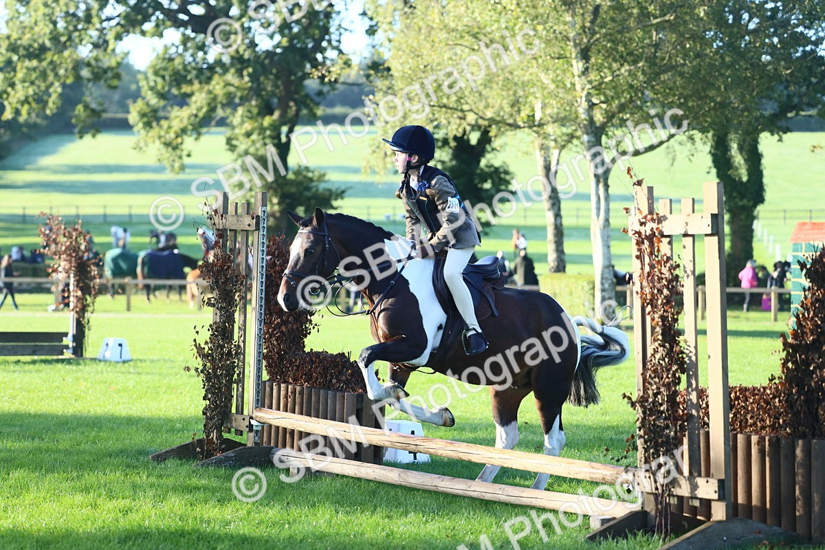 SBM_32231 - S28 - Nursery Stakes Working Hunter Pony