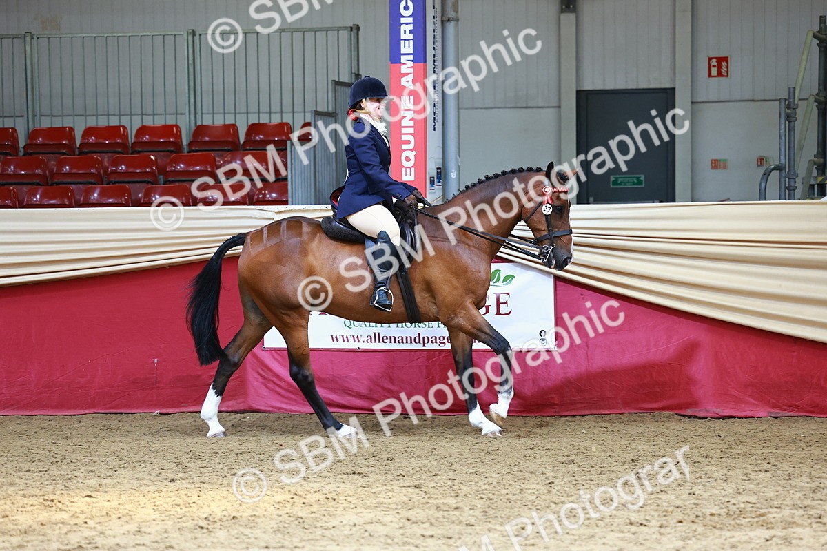 SBM_23114 - Class 904 - Supreme Final - Ridden Diamond