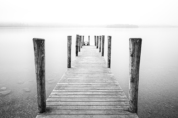  - Black & White