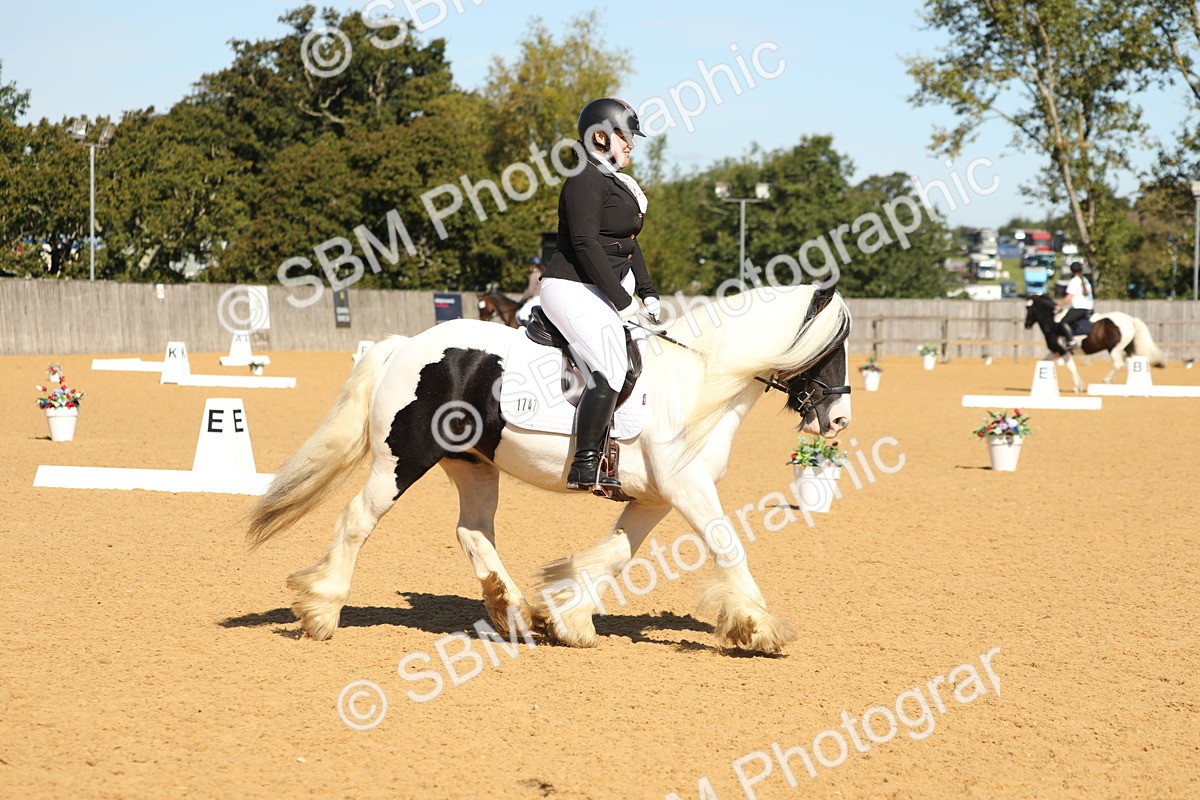 SBM_19626 - D10 - Small Tour Championship - Prelim 2