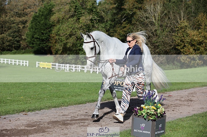 241027-102933-15923 - 593-Abbie.Burbidge-BLUEBIRD