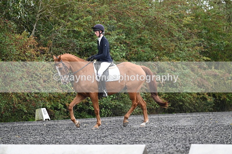 WJ7_6725 - Time 14:49 to 15:14