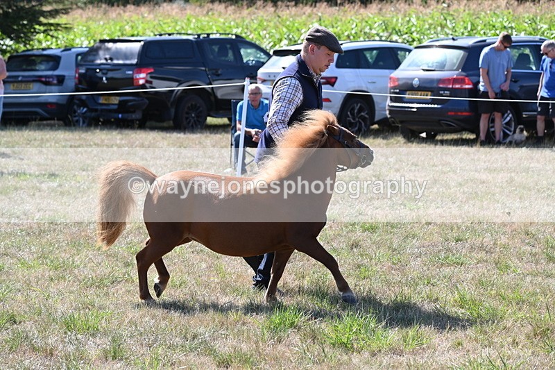 WJ6_4791 - Class 17 Mountain & Moorland