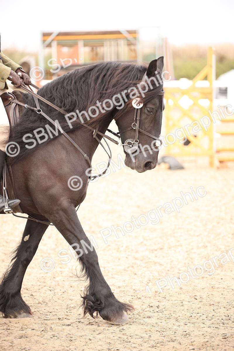 SBM_16179 - Class 409a - Working Veteran 80cm (15-19)