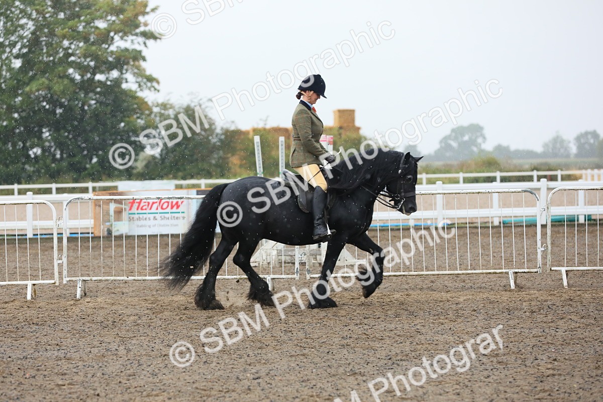 SBM_20543 - Class 804 - Ridden Veteran Pony