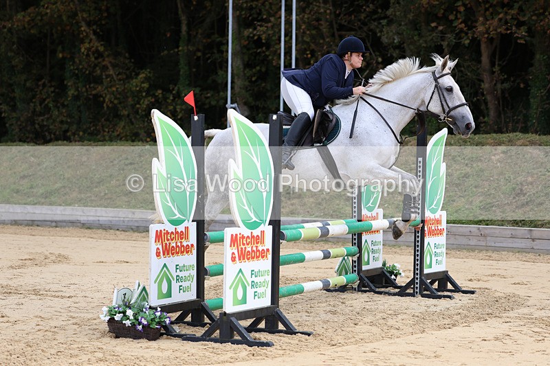 3E7A2004 - Class 4: Senior British Novice/90cm open