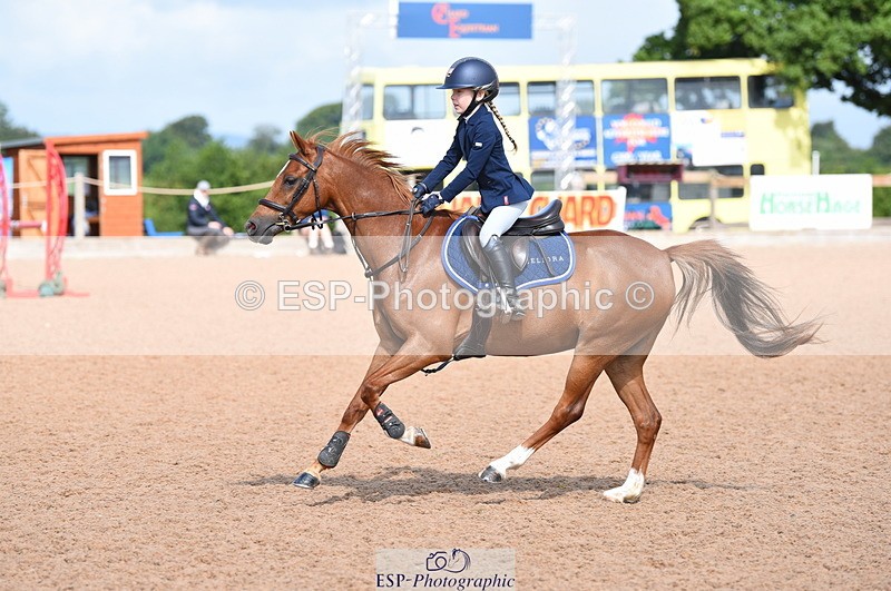 230716A-100520-01956 - Cls 35 Springboard 128cm & 138cm