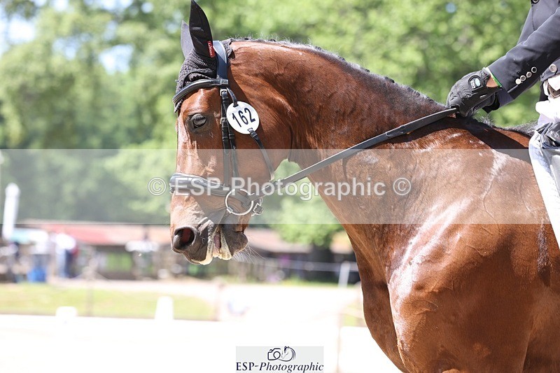 230526-124905-06260 - 162-MONBEG_GOLD_DUST-Michael_Owen-WEDTrotUp+DR
