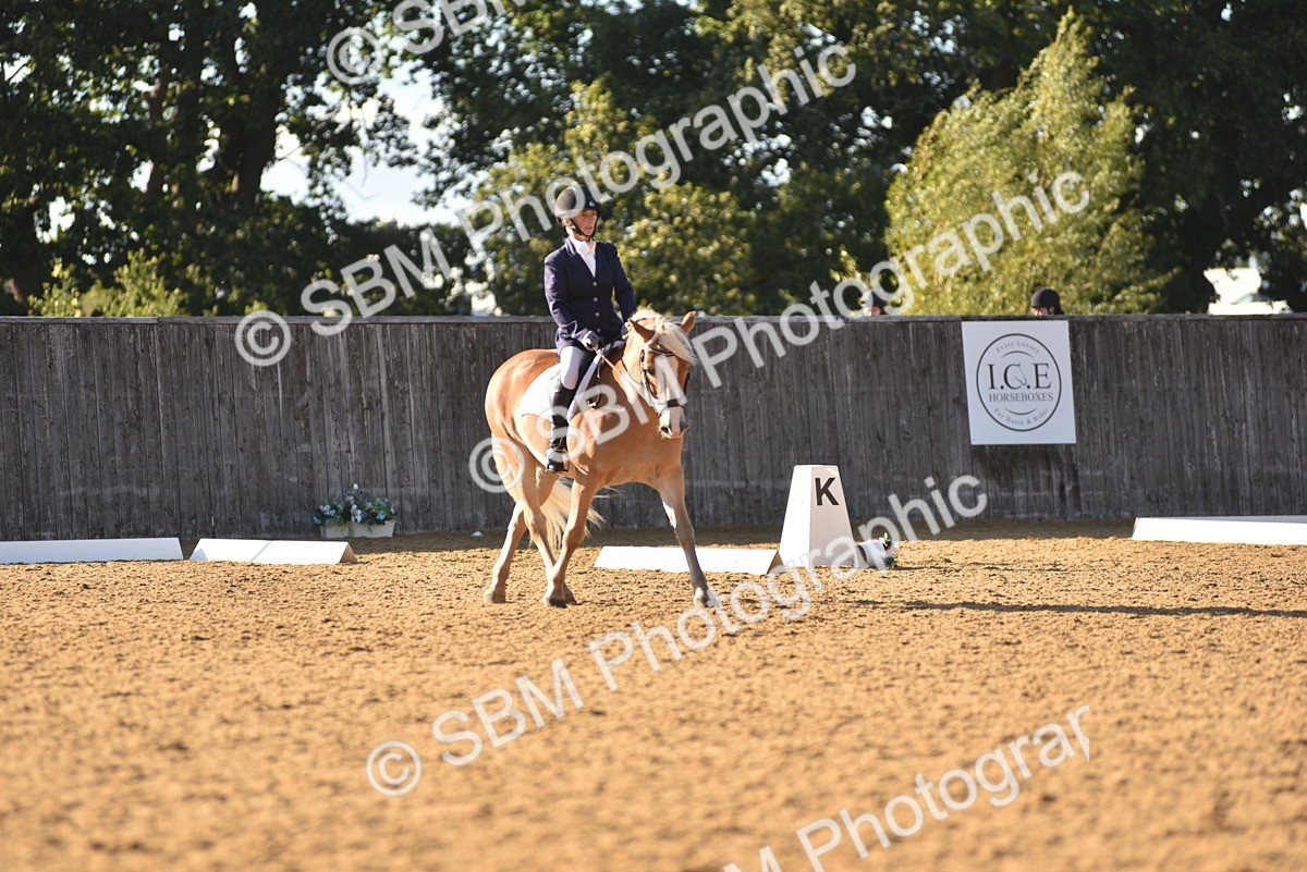 SBM_11403 - D28 - Elementary