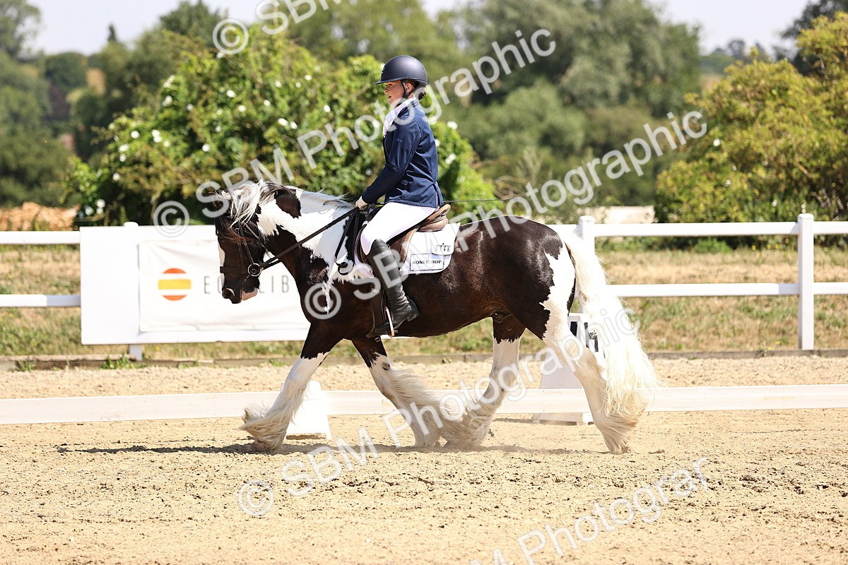 SBM_003742 - Intro 2