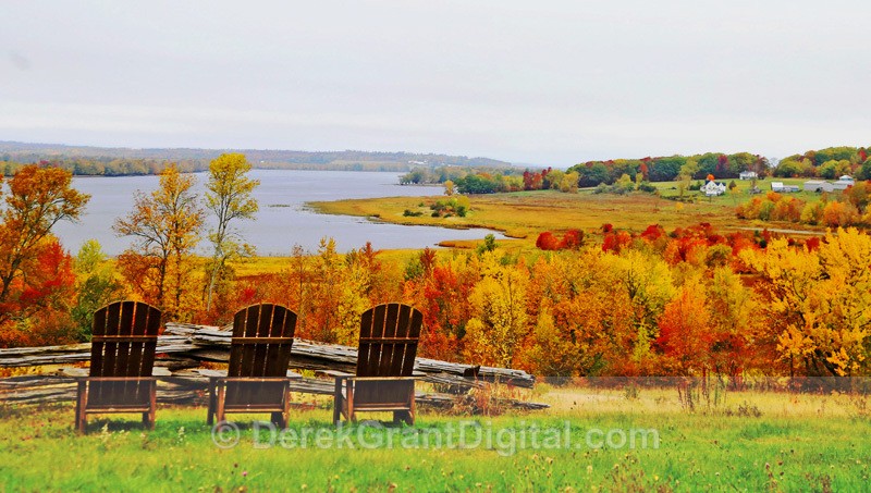 Lawn with a View - Autumn Foliage New Brunswick Canada - Autumn Foliage