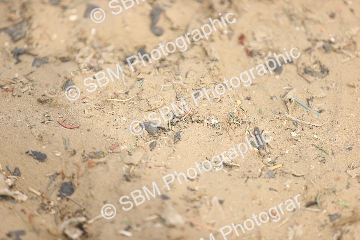 SBM_008477 - Class 8-10-11 - N3-E1-PYO