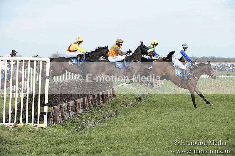 PtP 230319 259 - VWH Hunt Siddington Point-to-Point Racing 23/03/19