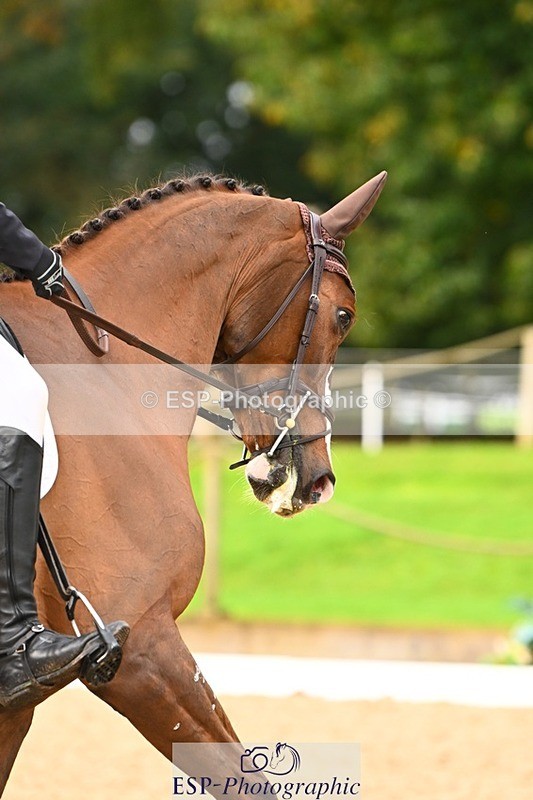 231021-100630-12972 - 331-KINSALE.OLTAIRE-Sean.Duffy-DR