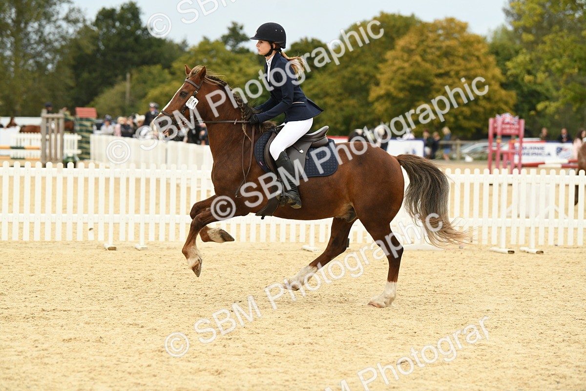SBM_73022 - J16 - Junior Pony 75cm Championship