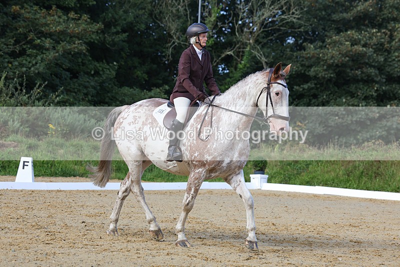 3E7A2414 - Class 1: Intro 4 2024 section A