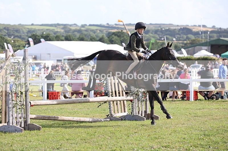 JPP_2781 - Class 20: Working Hunter 70cm