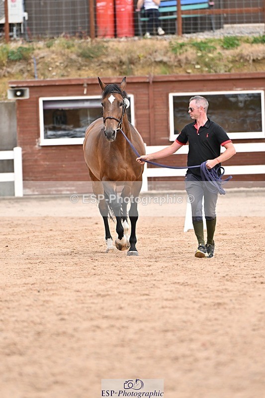 250716-151715-01839 - Trot Up 2.30 to 3.30