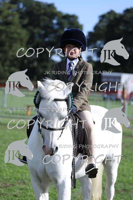 APP_4205 - Class 15a/b Pony club pony/Riding club horse