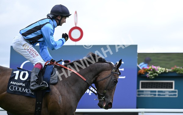 220825-165 Asfoora - Race 4 3.35pm Coolmore Wootton Bassett Nunthorpe Stakes