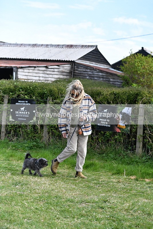 WJ5_0774 - Best in Show Championship