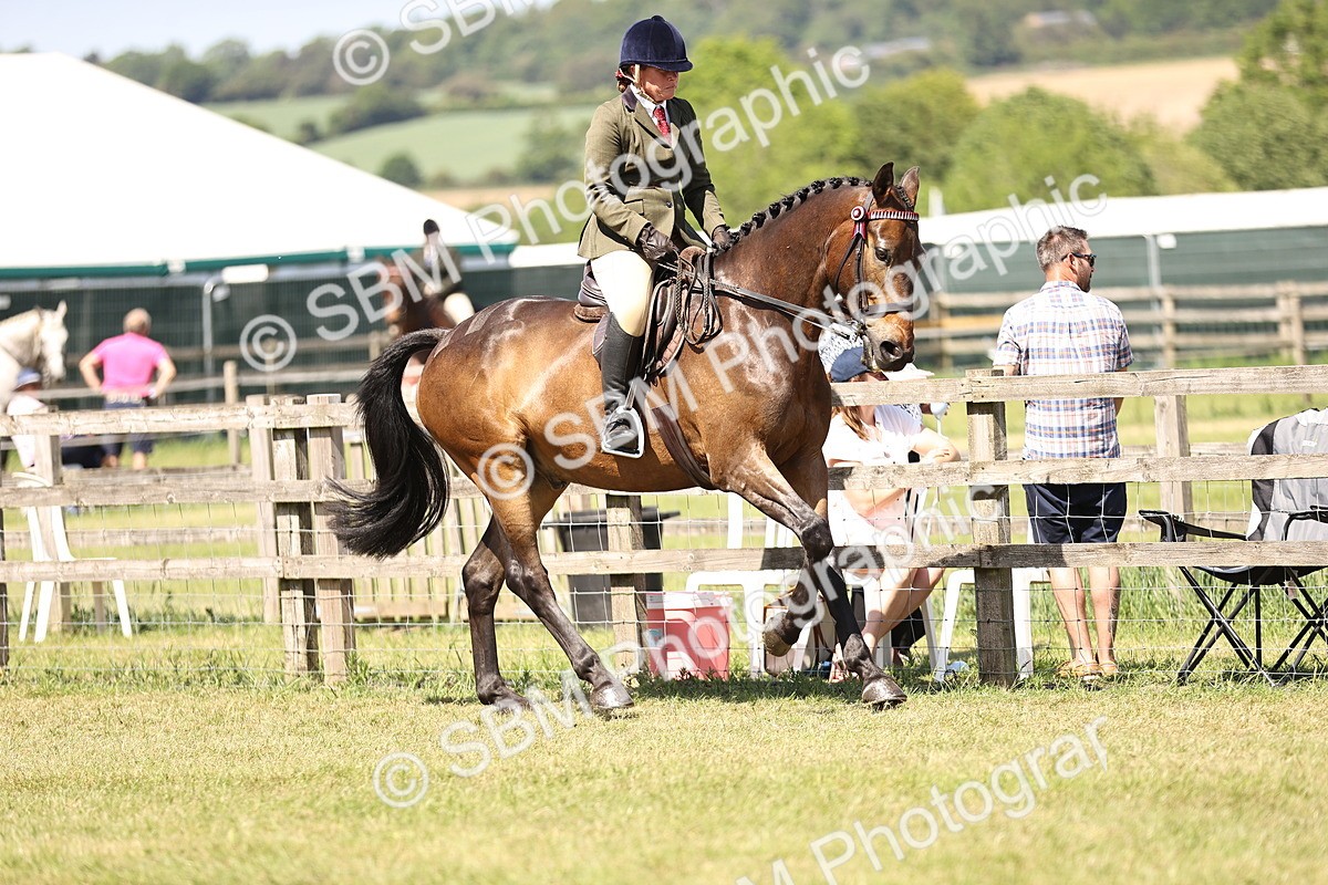 SBM_18000 - Class 81-83 - TSR Ridden Amateur of the Year - Horses