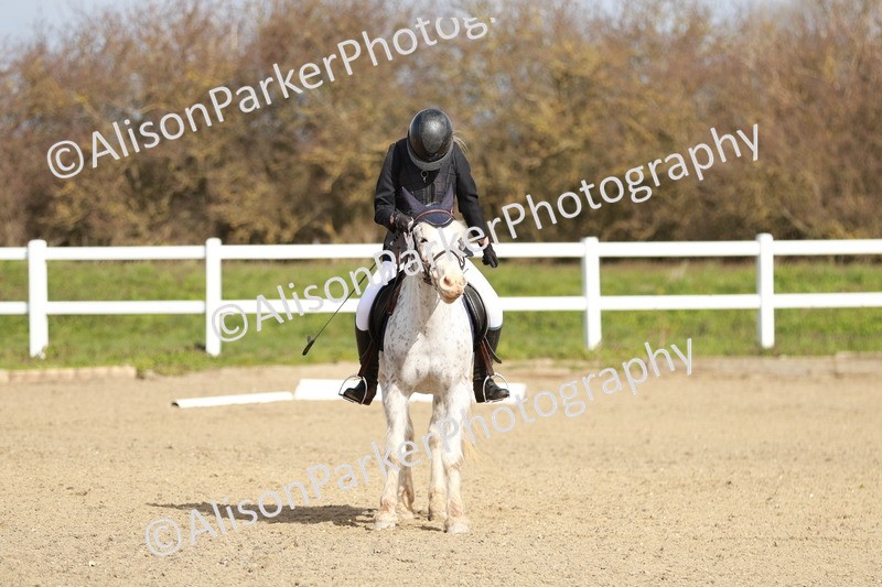 20260314-1126 - DR2 - Intro 3