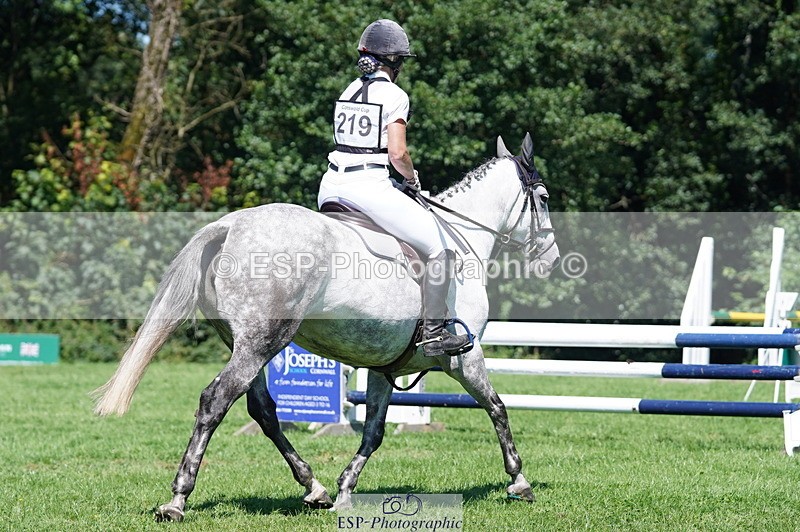 240811A-142018-04262 - 219-