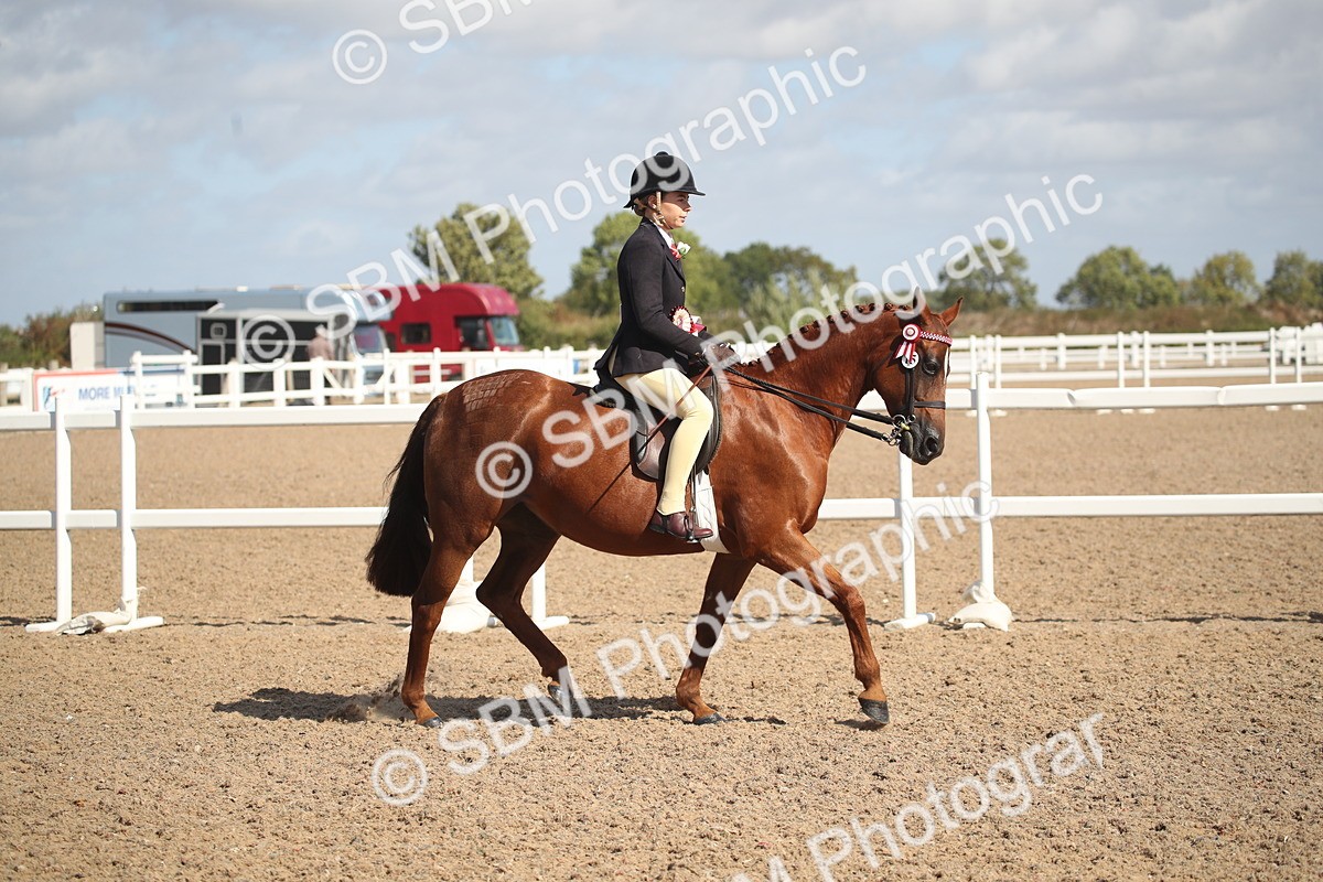 SBM_23007 - Class 603 - 2026 - Ridden Pre Vet