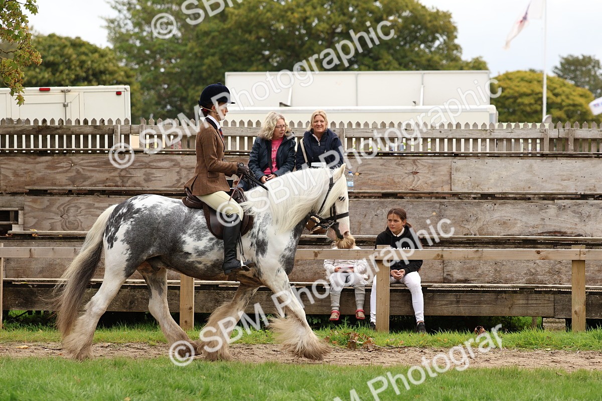 SBM_64410 - S58 - Coloured Pony Ridden