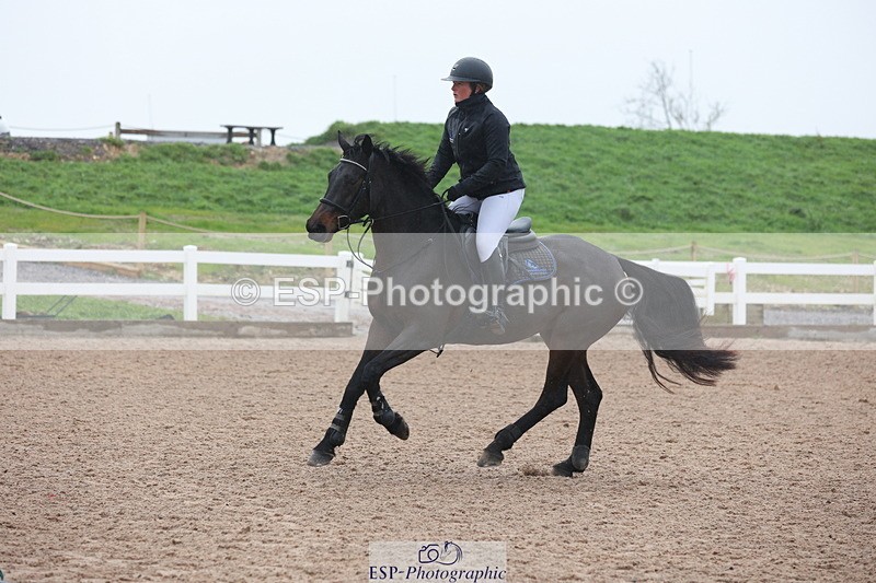 231112A-102536-03342 - Cls 17 Blue Chip Novice Winter Qualifier