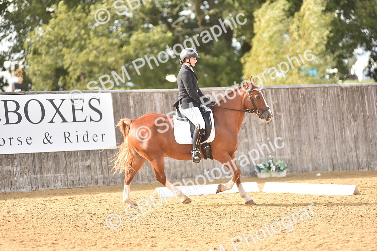 SBM_11289 - D15 - Small Tour Championship Novice 1