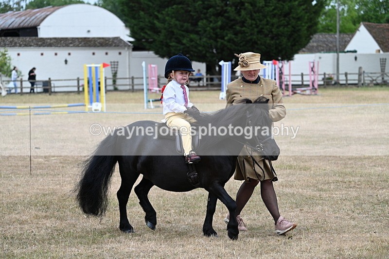 WJ7_8512 - Class 4 Prettiest Mare up to 14.2hh