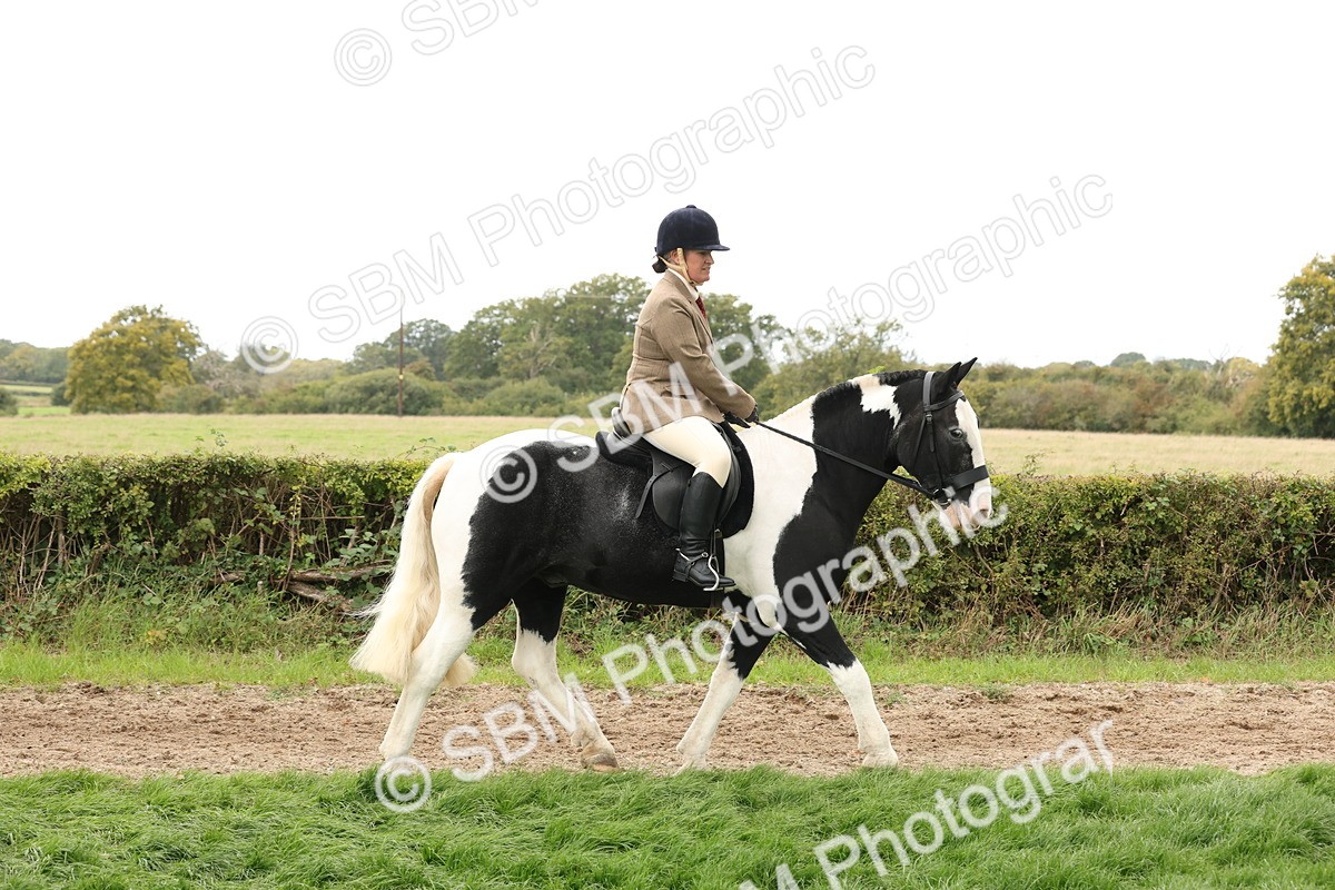 SBM_67222 - S67 - Piebald & Skewbald Horse Ridden