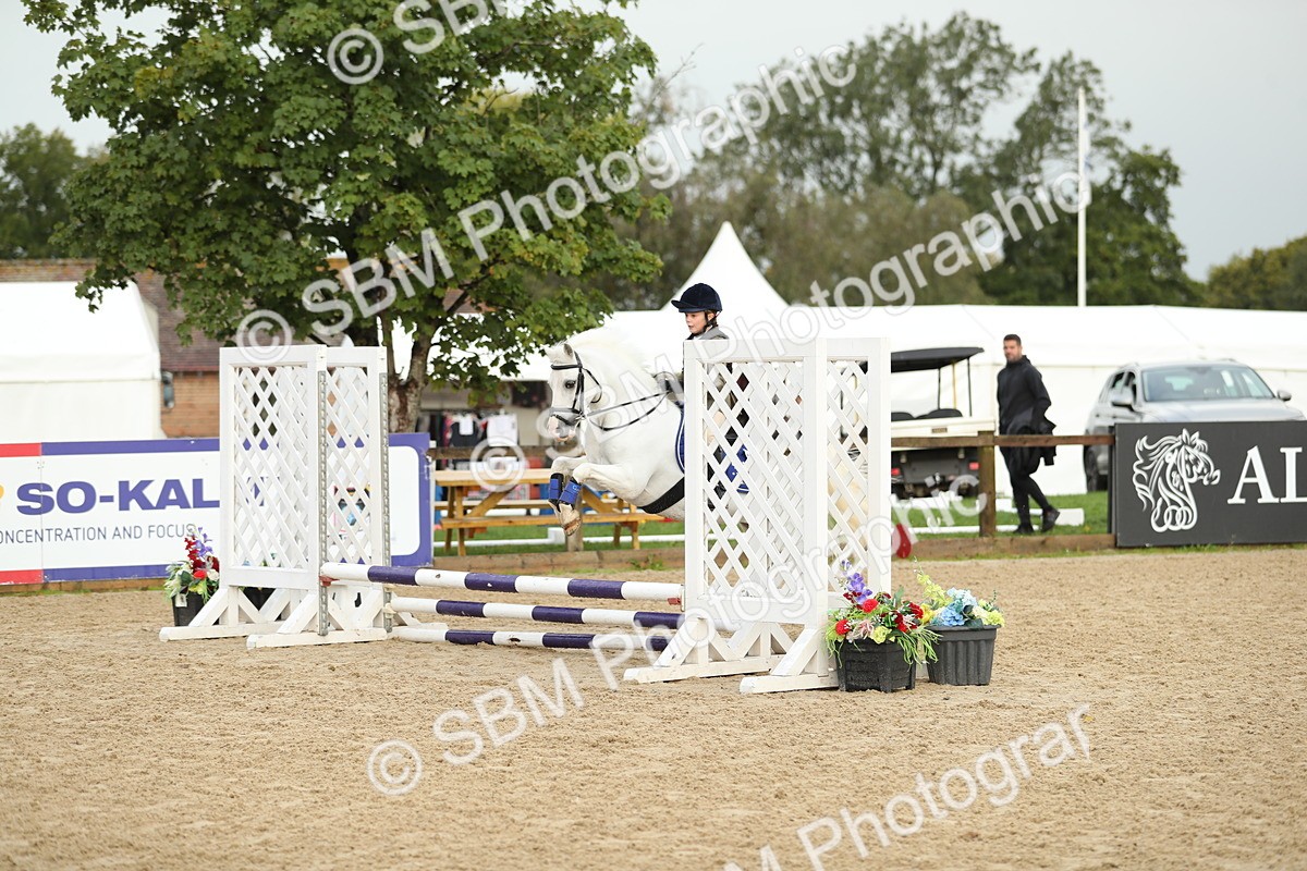 SBM_34185 - J60 Clear Round 50cm