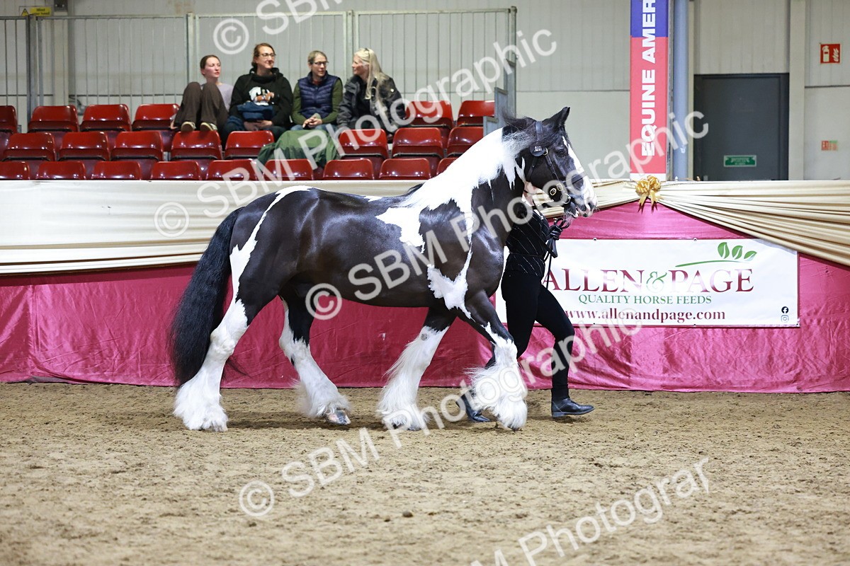 SBM_20817 - Class L - Coloured Champ