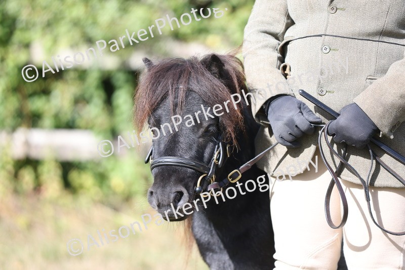 20250831-1474 - Class 21 - Inhand Open