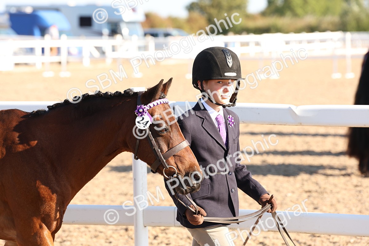 SBM_11617 - Class 203 - Young Handler 11 to 16 years