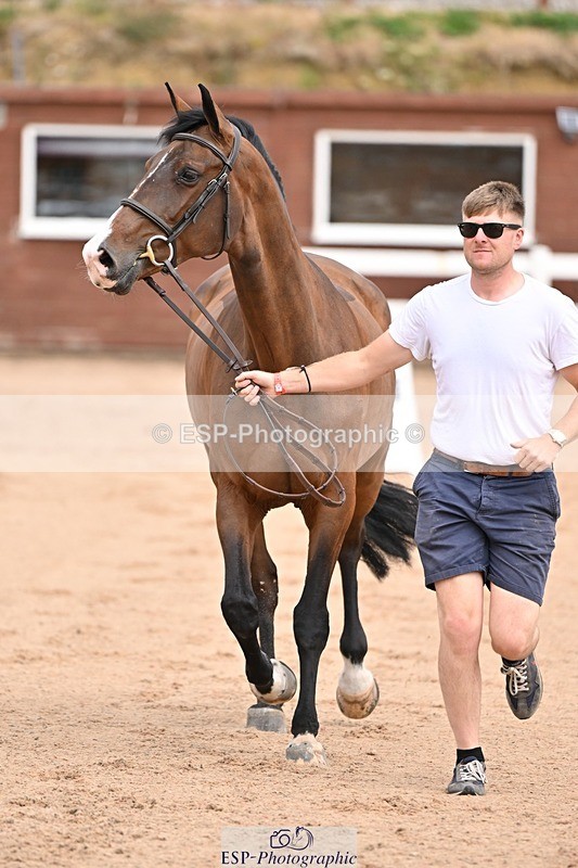 250716-150708-01640 - Trot Up 2.30 to 3.30