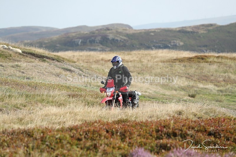 SPXX0055 - Trail bikes