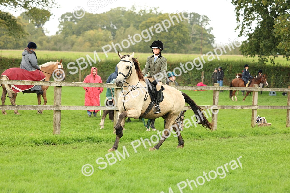1I0A1505 - S32 - Mountain & Moorland Working Hunter Pony
