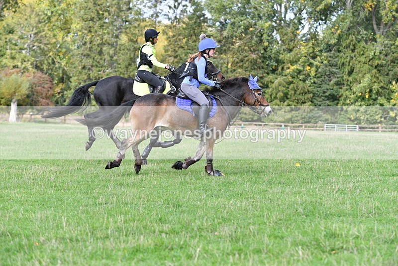 WJ5_8558 - Time 12:02 to 12:32