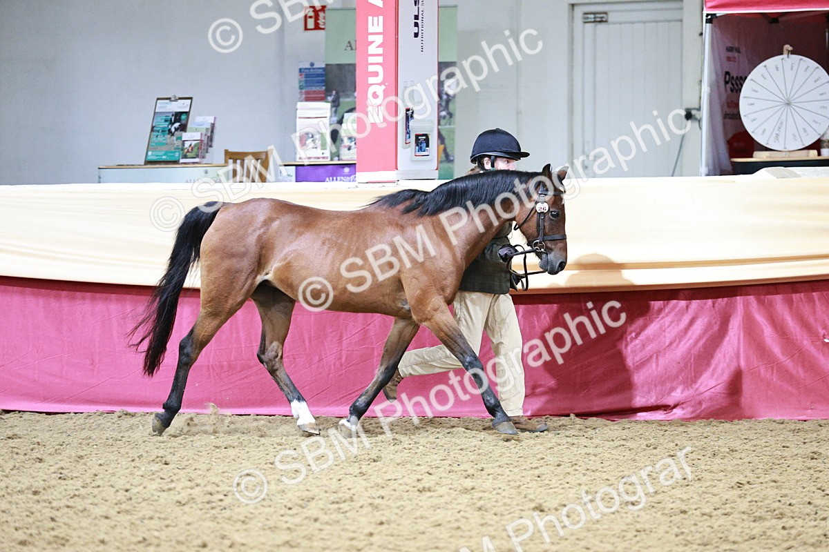 SBM_00190_Class 1a - Area - IH  Diamond - Sally Ashwin