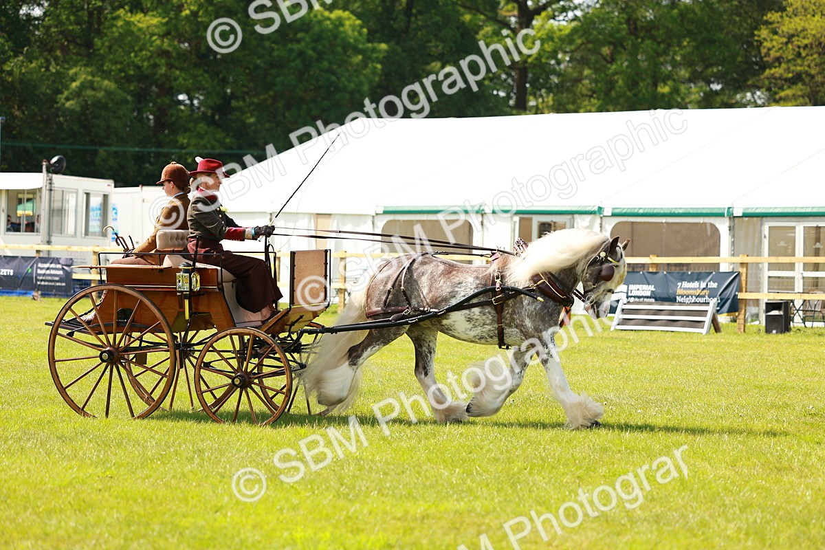 SBM_02650 - Class 2-4 - HOYS Private Driving