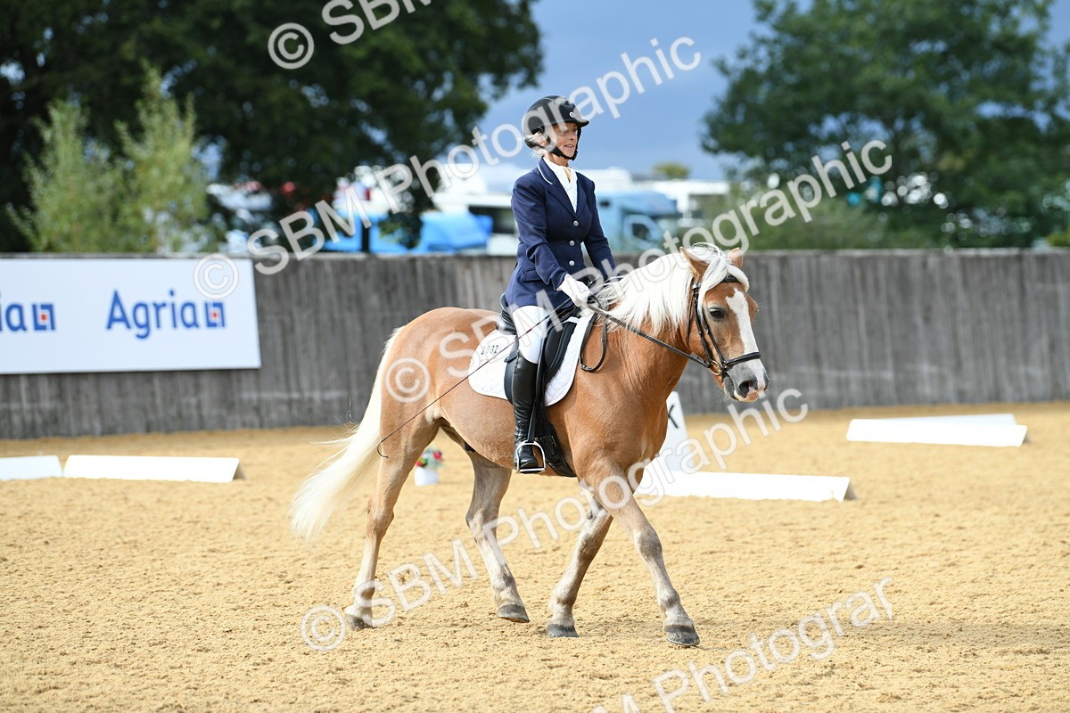 SBM_10932 - D28 Elementary Taster Elementary 42