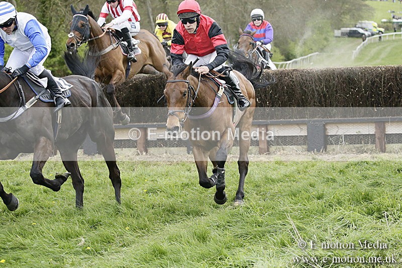 PtP 170417 454 - Old Berks Point-to-Point Lockinge 17/04/17
