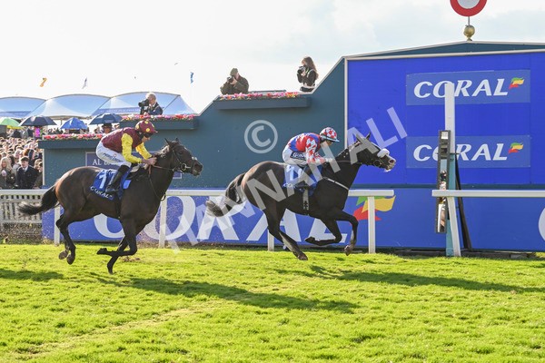 121024-Race 3-Strike Red-3042 - Race 3 Coral Sprint Trophy Handicap